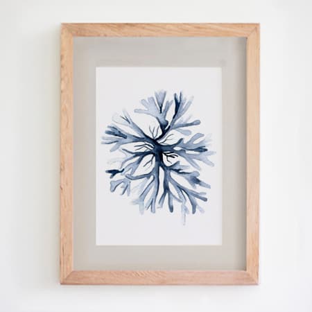 Product 59