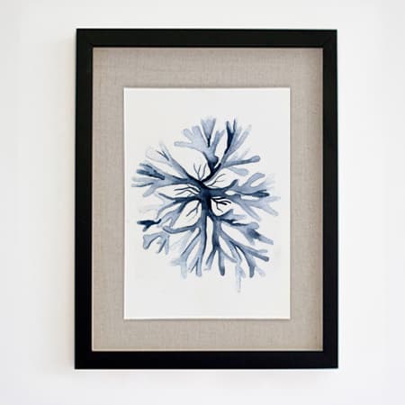 Product 81