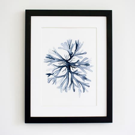 Product 109
