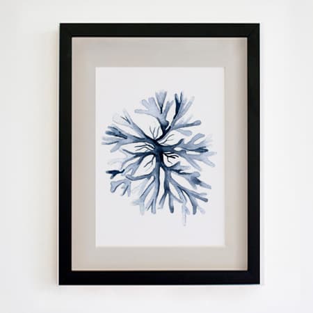 Product 56