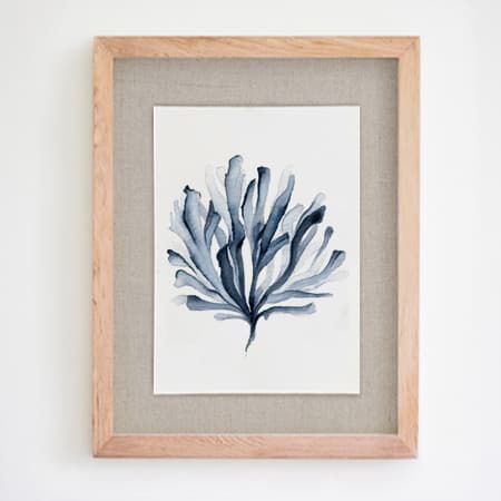 Product 72