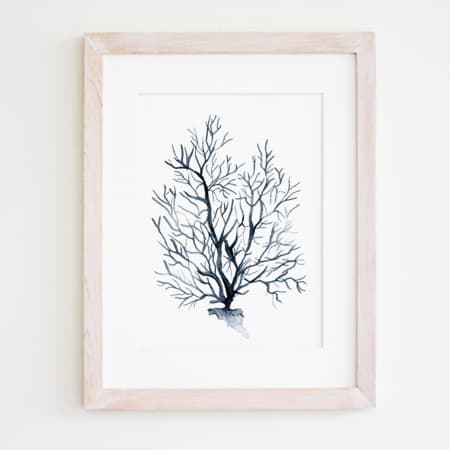 Product 107