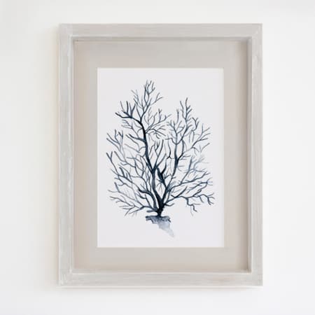 Product 74