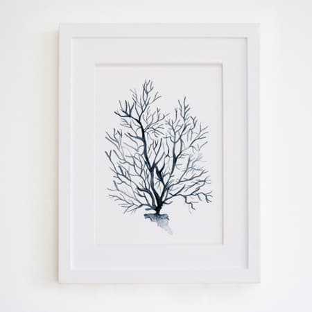 Product 40