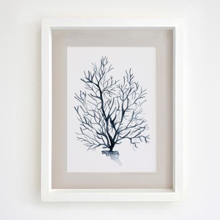 Product 77