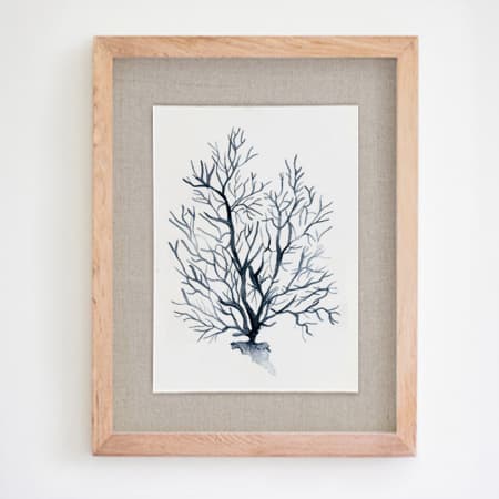 Product 24