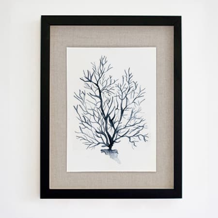 Product 81