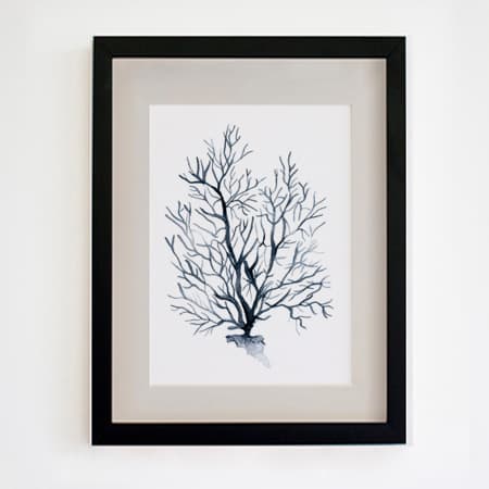 Product 32