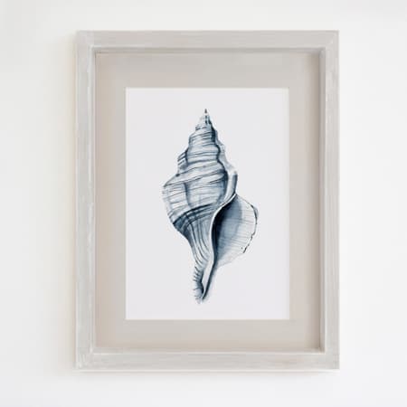 Product 38