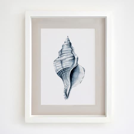 Product 53