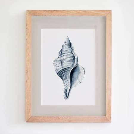 Product 35