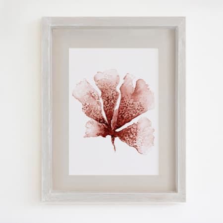 Product 26