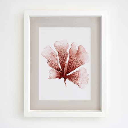 Product 77